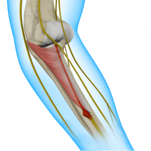 radial-tunnel-syndrome